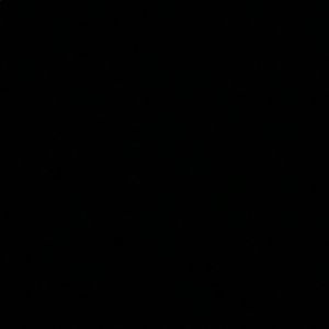 Meet your Posher, Ariel